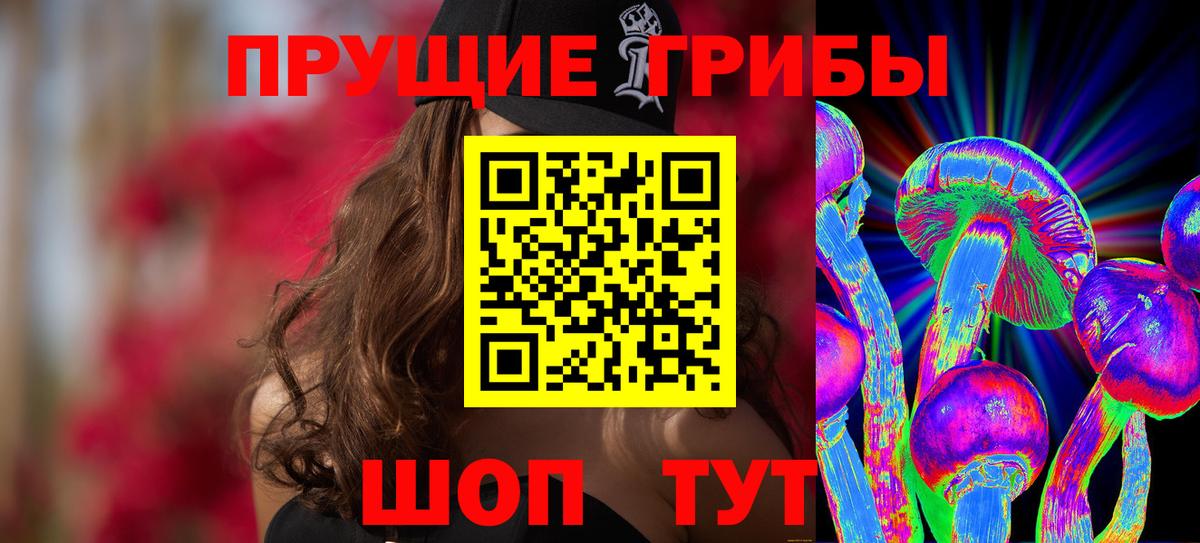 Галлюциногенные грибы Psilocybe Ликино-Дулёво