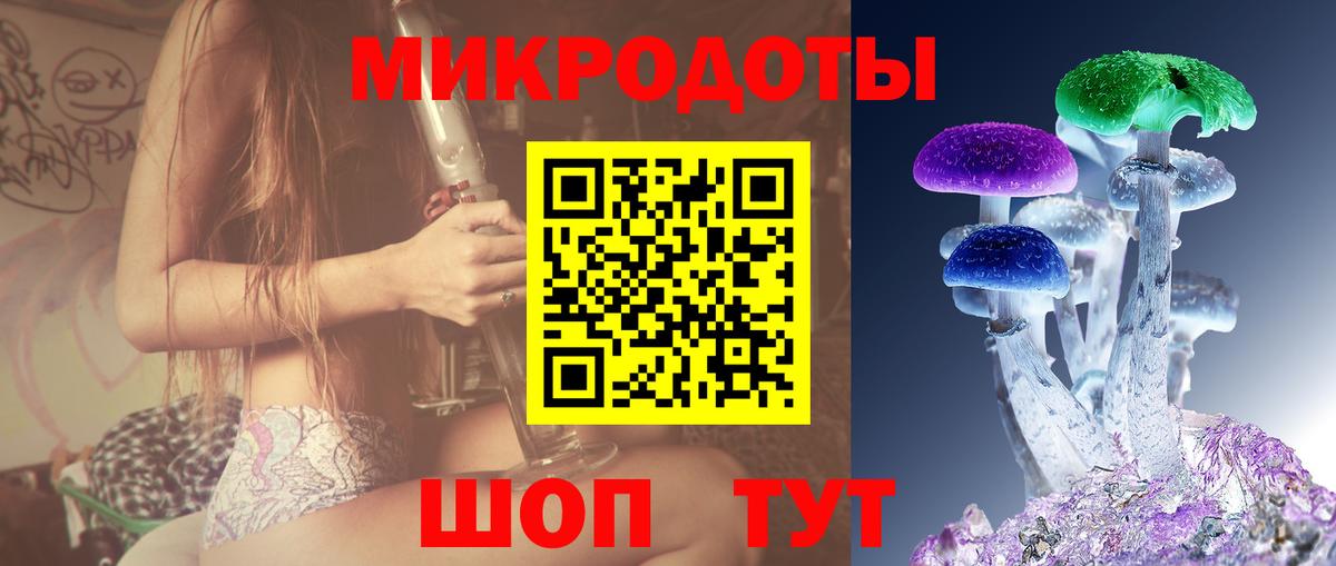 Галлюциногенные грибы Psilocybine cubensis  Вход с VPN  Псилоцибиновые грибы мухоморы  Ликино-Дулёво 